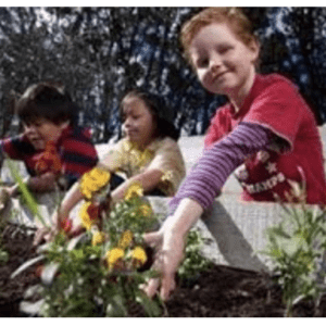 A group of children using Planting for Our World to plant flowers in a garden.