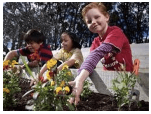 A group of children using Planting for Our World to plant flowers in a garden.